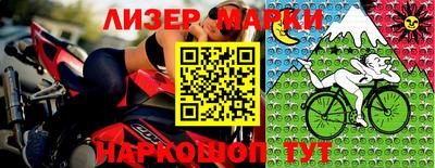 гидра Будённовск