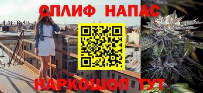 гидра Будённовск