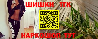 гидра Будённовск