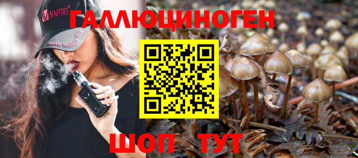 Галлюциногенные грибы Magic Shrooms  Вход с VPN  Родники 