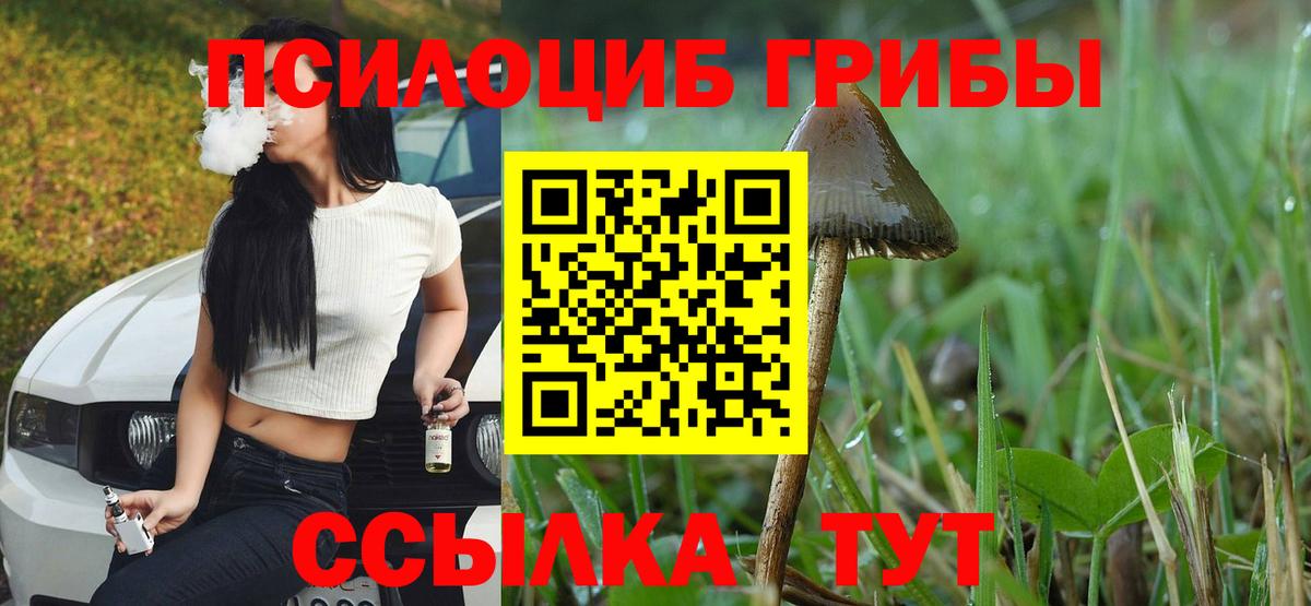 Галлюциногенные грибы прущие грибы Родники