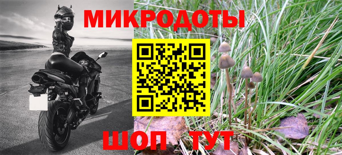 Галлюциногенные грибы Cubensis  Галлюциногенные грибы мицелий  Родники 